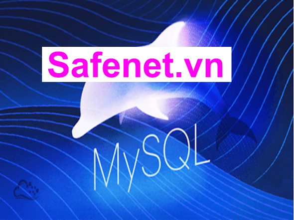 MySQL-03